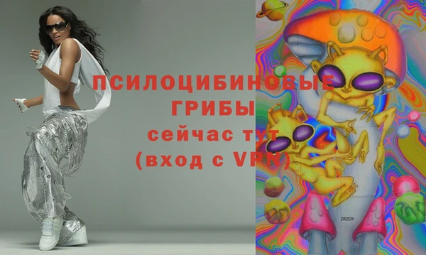 дживик Заволжск