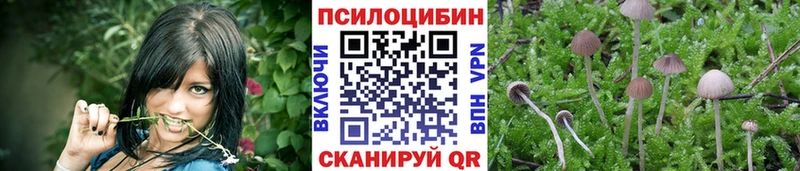 Купить закладки Кола Галлюциногенные грибы ЛСД